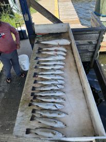 Great time catching fish!