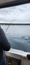 Most enjoyable morning out on Lake Taupo