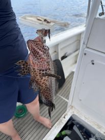 Great family friendly fishing experience!