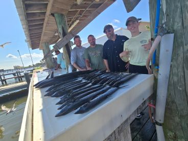 Mackerel in gulf shores