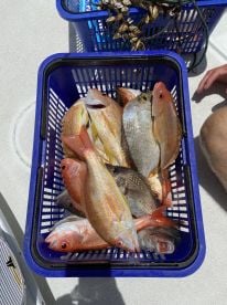 Fishing made easy. 