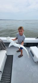 Captain Dave is Great!!