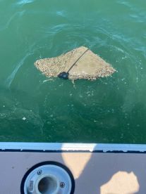 Epic Fishing Trip