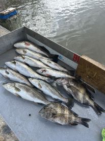 Captain Frenchy really is the Fish Wisperer!!