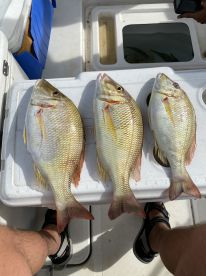 Brilliant day fishing 