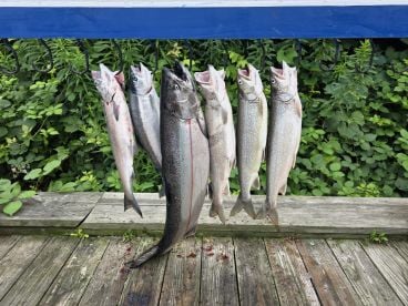 Great experience, knowledgeable crew