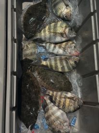 One of Best Fishing Trips We’ve Had