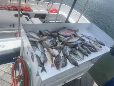 Great family trip! 