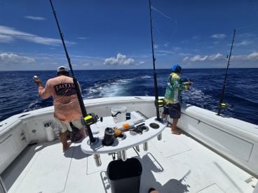 10 Nice Dorado within the first hour!!!!