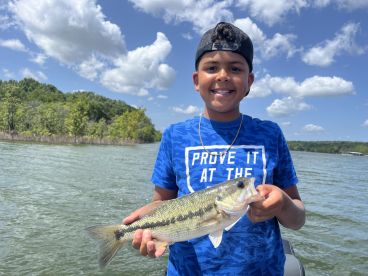 Fish on