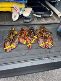 July fishing trip