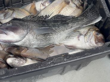 Great boat to go fishing on nice and organized, clean and well organized