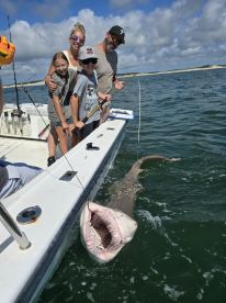 4hr Shark Trip