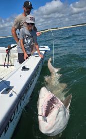 4hr Shark Trip