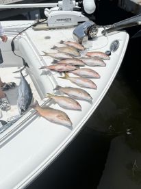 The best time with Capt. Aaron! 
