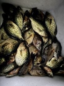 July fishing trip