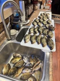 July fishing trip