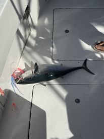 Fishing with Peter