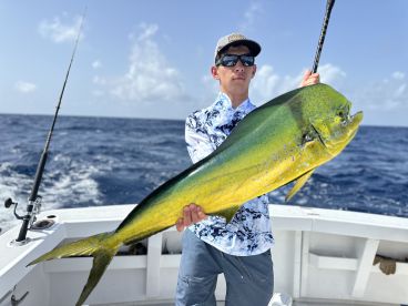 What a trip!
