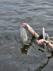 Awesome scalloping.