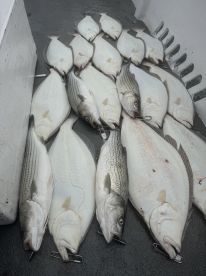 Good fishing and helpful crew