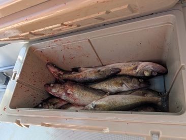 Beautiful day, bountiful fish