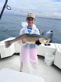 Wow! Excellent Fishing Guides!