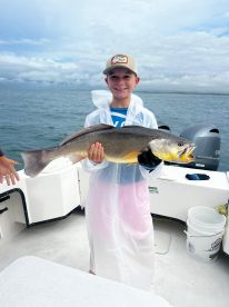 Wow! Excellent Fishing Guides!