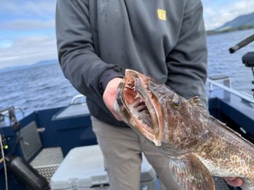Great captain and equipment! Fine fishing day!