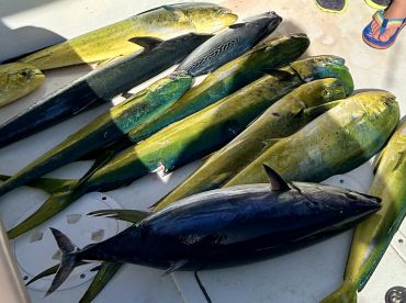 Great catch!