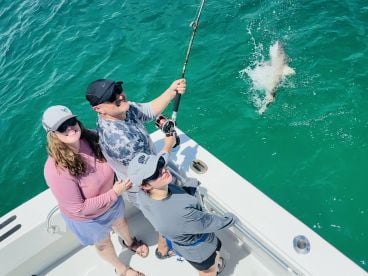 Shark fishing!