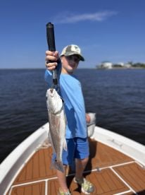 Great time, lots of fish. AA