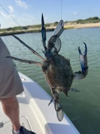 Fishing Fun