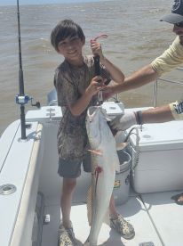 Fish