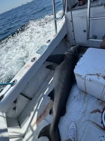 Perfect vacation fishing trip