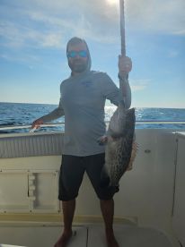 Lots of fish 