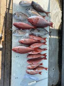 Fishing with Tradition