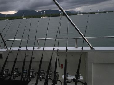 Super clean boat, awesome crew, tons of fish — I couldn’t stop smiling! 🎣🌞