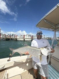 Amazing Fishing at Siesta 