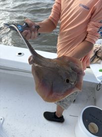Jekyll Island - Capt. Andy Hicks