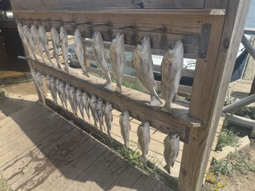 Easy fishin\u2019 with a great guide!
