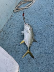 Fishing tour