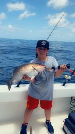 Good day of fishing 