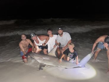 Will get you on sharks! 