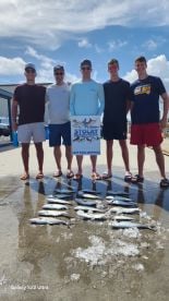 Great Trip