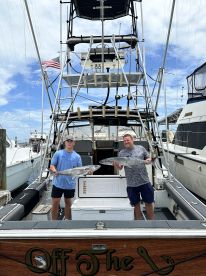 Kingfish