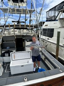 Kingfish
