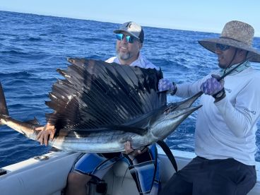 2 sail fish - 1 trip