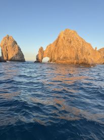 2 sail fish - 1 trip