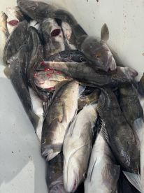 Great day on the water!